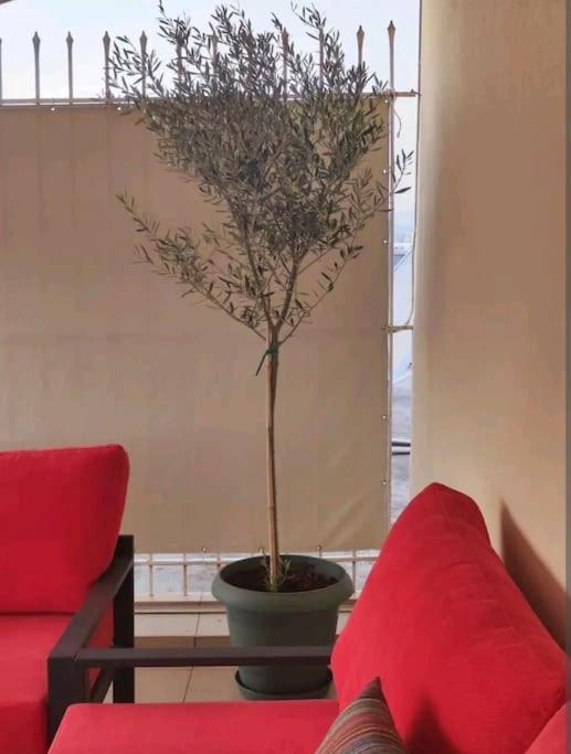 7Th Floor Spacious Veranda In The Heart Of Athens Atenas Exterior foto